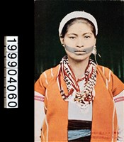 藏品(明信片)的圖片