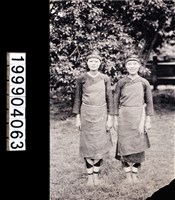 藏品(明信片)的圖片