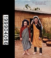 藏品(明信片)的圖片