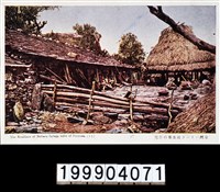 藏品(明信片)的圖片