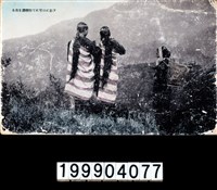 藏品(明信片)的圖片