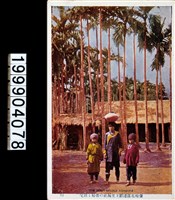 藏品(明信片)的圖片