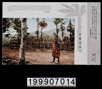 藏品(明信片)的圖片