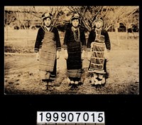 藏品(明信片)的圖片