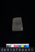 藏品(有段石錛)的圖片