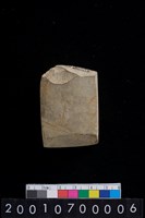 藏品(石錛)的圖片