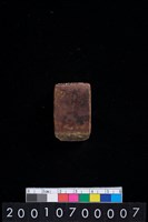 藏品(石錛)的圖片