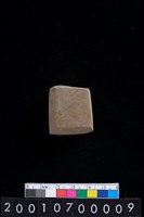 藏品(石錛)的圖片