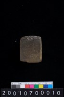 藏品(有段石錛)的圖片