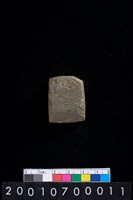 藏品(有段石錛)的圖片