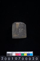 藏品(有段石錛)的圖片