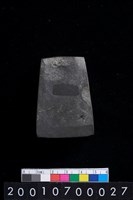 藏品(有段石錛)的圖片