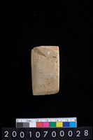 藏品(有段石錛)的圖片