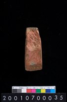 藏品(有段石錛)的圖片