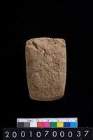 藏品(石錛)的圖片