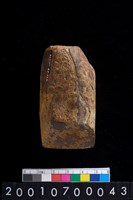 藏品(有段石錛)的圖片