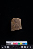 藏品(石錛)的圖片