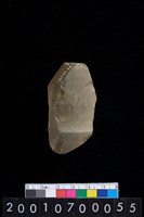 藏品(有段石錛)的圖片