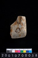 藏品(石錛)的圖片