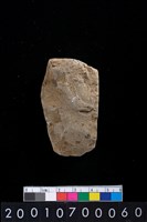 藏品(石錛)的圖片