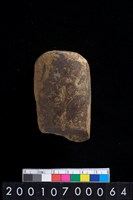 藏品(有段石錛)的圖片