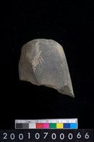 藏品(石錛)的圖片