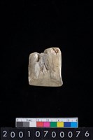 藏品(有段玉錛)的圖片