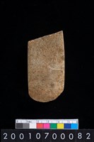 藏品(石錛)的圖片