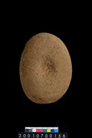 藏品(石錘)的圖片