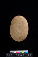 藏品(石錘)的圖片