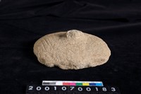 藏品(石蓋)的圖片