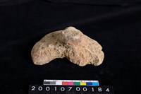 藏品(石蓋)的圖片