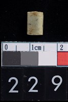 藏品(玉管珠)的圖片