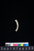 藏品(玉耳飾)的圖片