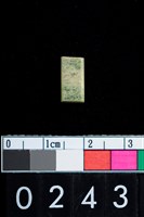 藏品(玉管珠)的圖片