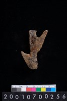 藏品(鐵器)的圖片