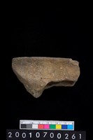 藏品(缽口緣)的圖片