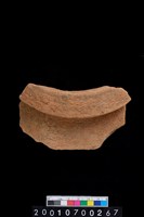 藏品(罐口緣)的圖片