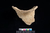 藏品(罐口緣)的圖片