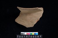 藏品(罐口緣)的圖片