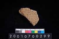 藏品(陶腹片)的圖片