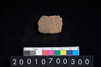 藏品(陶腹片)的圖片