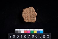 藏品(陶腹片)的圖片