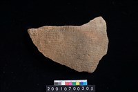 藏品(陶腹片)的圖片