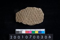 藏品(陶腹片)的圖片