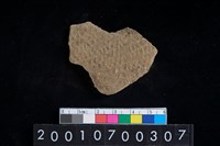 藏品(陶腹片)的圖片