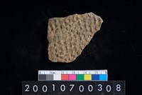 藏品(陶腹片)的圖片