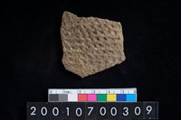 藏品(陶腹片)的圖片