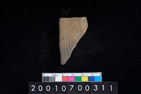 藏品(陶腹片)的圖片