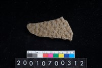 藏品(陶腹片)的圖片